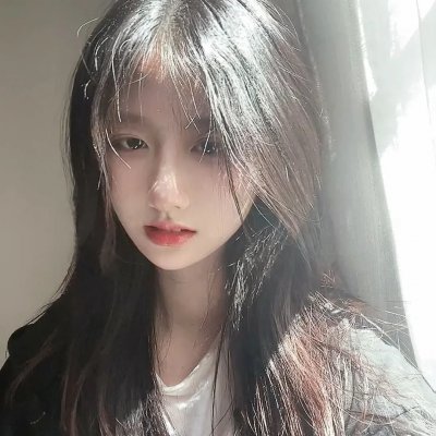 与森林共舞